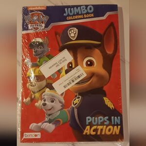 Paw Patrol Pups in Action Coloring Book Set Of 2
